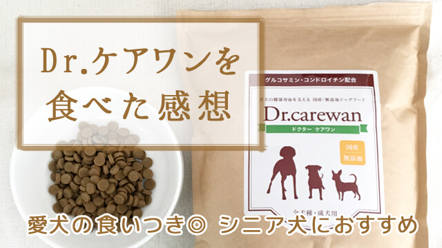 Dr.ケアワンの口コミ】愛犬が食べた感想。シニア犬におすすめの